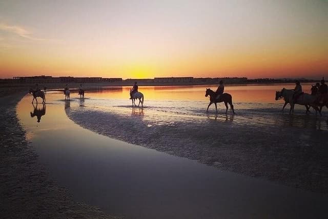 Horse Riding Safari Adventure from Hurghada - Photo 9