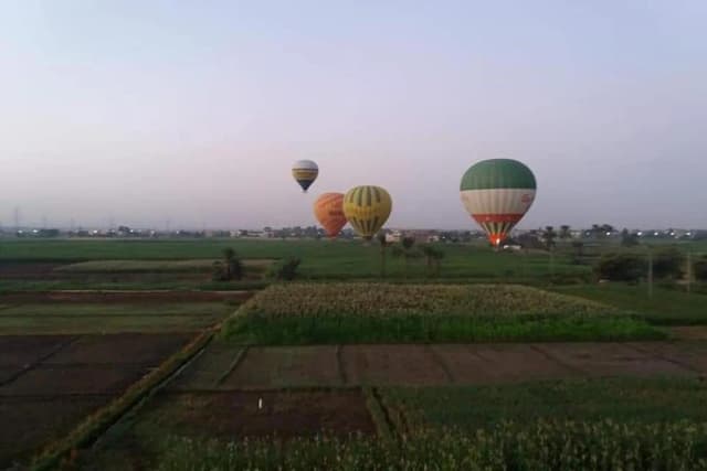 Luxor Hot Air Balloon Premium Minibus Tour – 1 Day & 1 Night - Photo 7