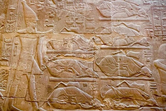 Luxor Private VIP Tour (Private Car, up to 3 persons) - Photo 7