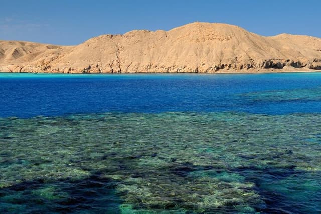 Magawish Island – Snorkeling & Beach Day - Photo 3