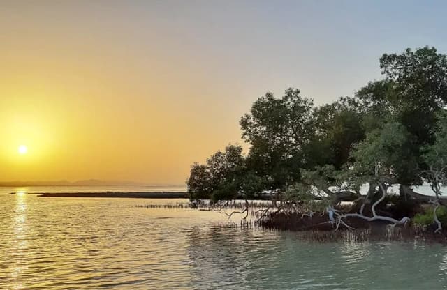 Wadi El Gemal National Park – Full Day Beach & Nature Tour - Photo 2