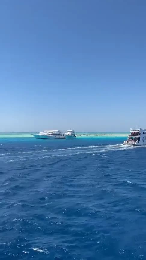 Wadi El Gemal National Park – Full Day Beach & Nature Tour - Photo 11