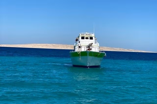 Diving Adventure – Discover the Red Sea - Photo 8