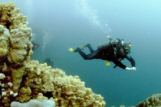 Diving Adventure – Discover the Red Sea - Photo 5