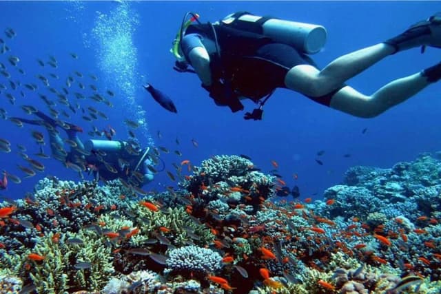 Diving Adventure – Discover the Red Sea - Photo 6