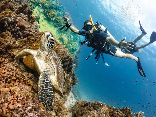Diving Adventure – Discover the Red Sea - Photo 7