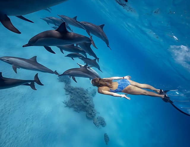 Dolphin House Snorkeling Tour from Hurghada - Photo 7