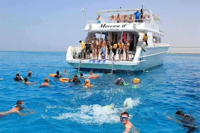 Dolphin House Snorkeling Tour from Hurghada - Photo 9