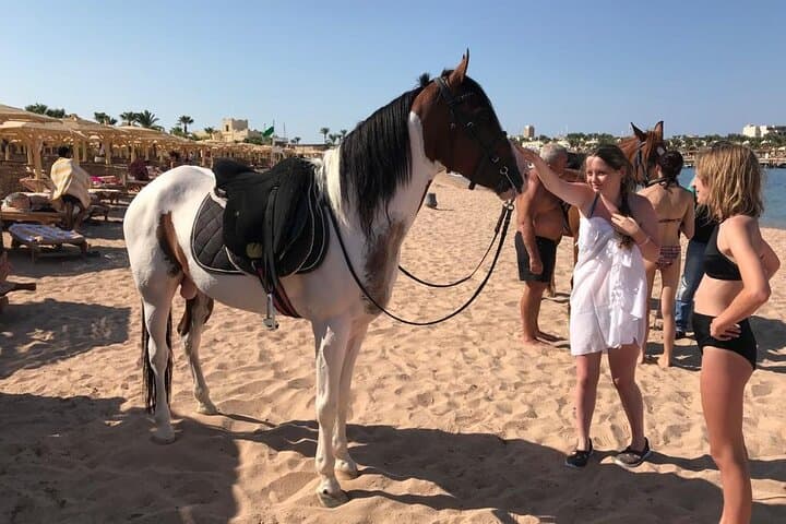 Horse Riding Safari Adventure from Hurghada - 1