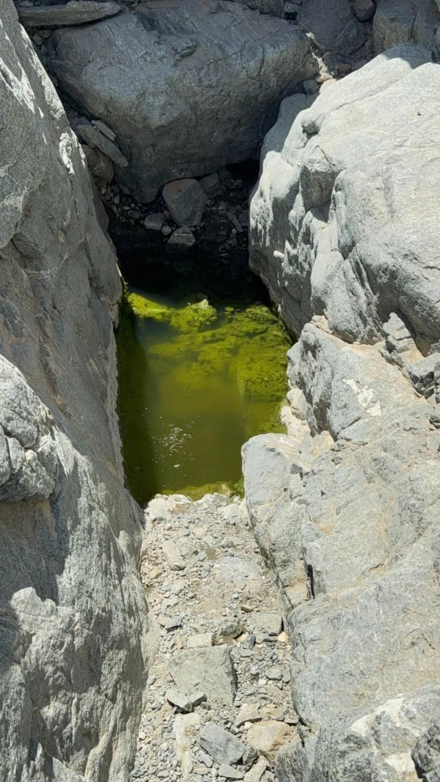 Wadi El Gemal National Park – Full Day Beach & Nature Tour - Photo 10